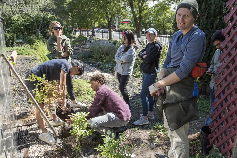 Students working outdoors in a garden.