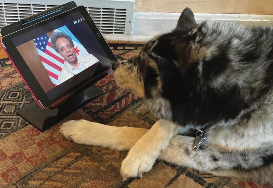 Lee Fennell’s dog watching the ceremony on an iPad