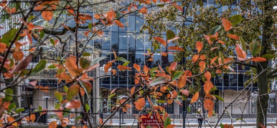 Photo of the Law building in the fall