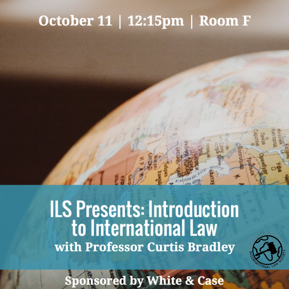 Intro to international law flyer
