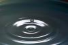 drop of water on a still lake