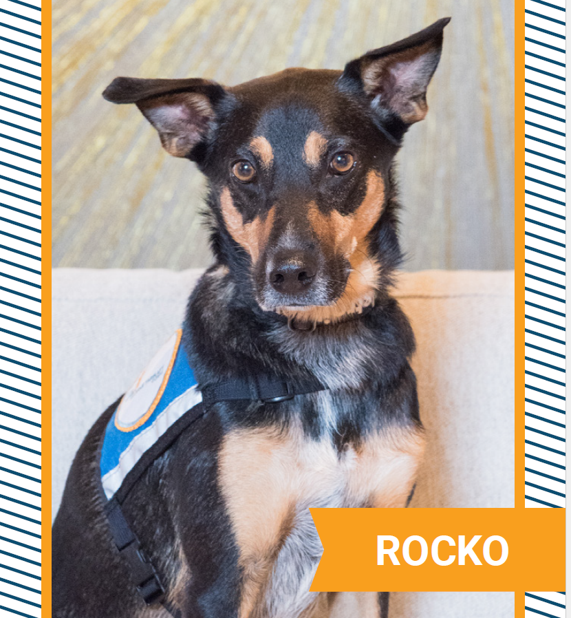 Rocko