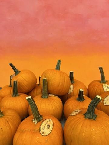 Pumpkins