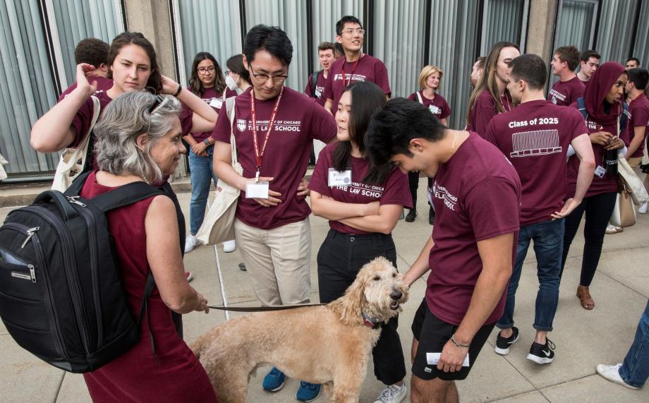 Students stop to admire a professor's dog outside by the reflecting pool.