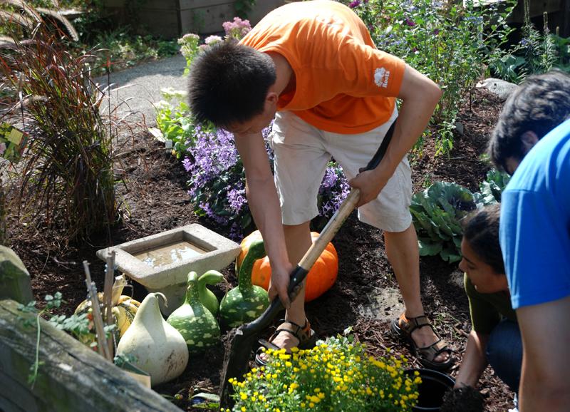 Students volunteering at the Chicago Child Care Society