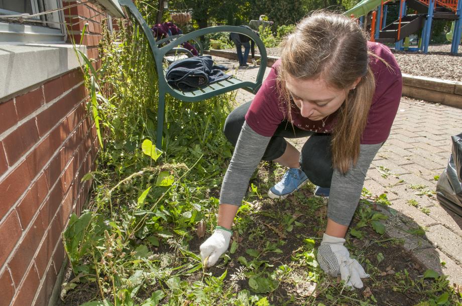 New Law Students Volunteer Across the City