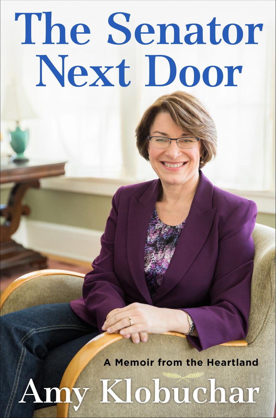 book cover for the Senator Next Door