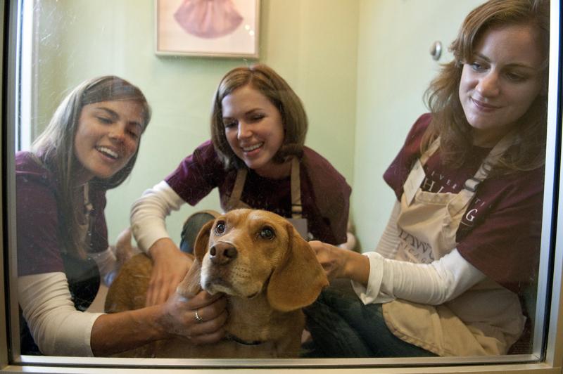 1Ls sharing their affection with a lucky dog. 1Ls sharing their affection with a lucky dog.