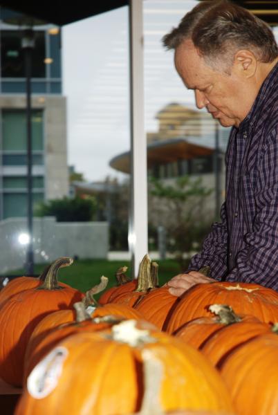 LLM pumpkin carving LLM pumpkin carving