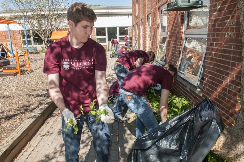 The 1Ls at Hyde Park Neighborhood Club pulled weeds by the playground.