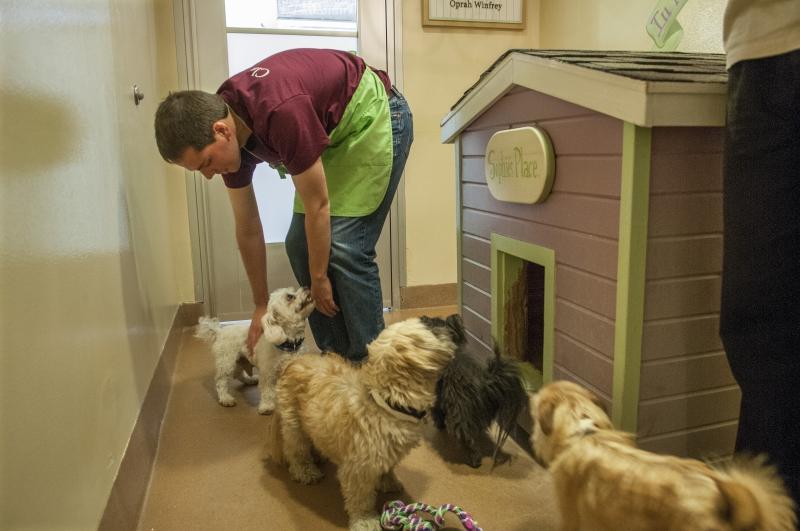 Nineteen 1Ls worked various jobs during three hours at PAWS. Nineteen 1Ls worked various jobs during three hours at PAWS.