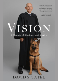 Book Cover for Vision