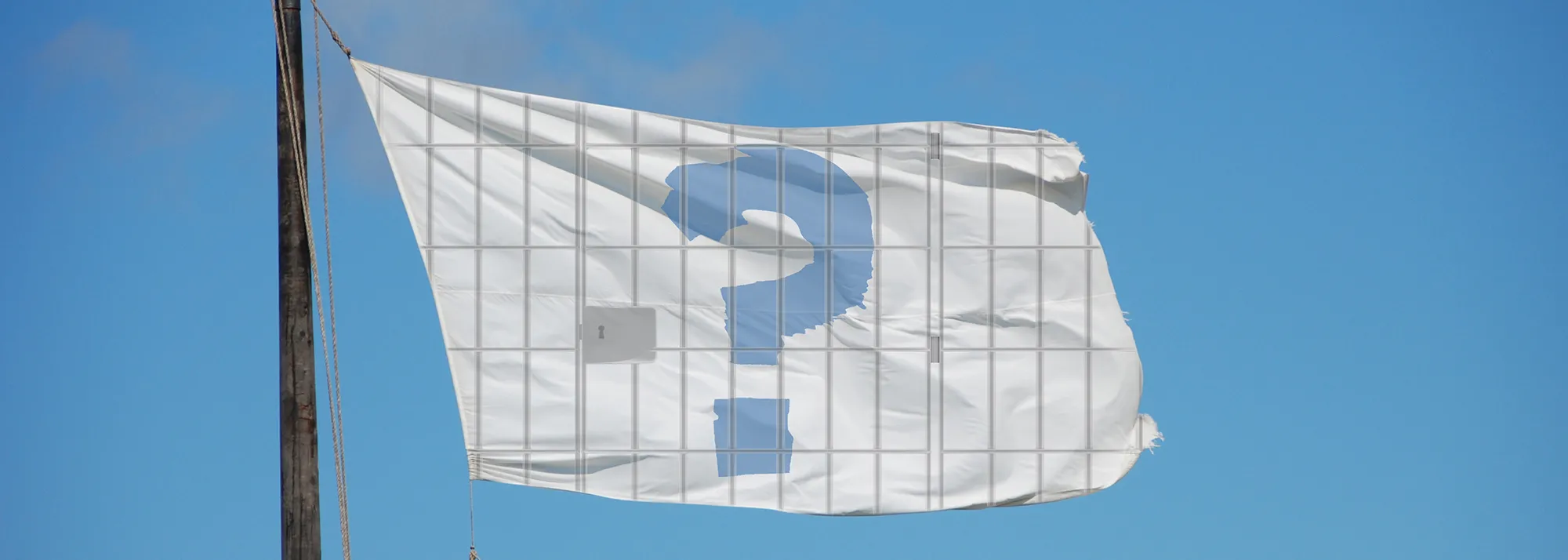 image of flag with question mark